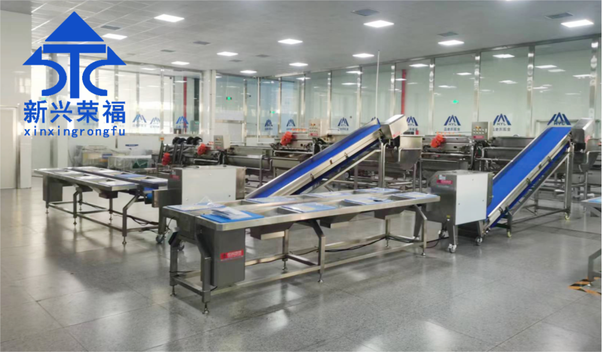 日供蔬菜20噸，新興榮福承建凈菜加工項目完成驗收